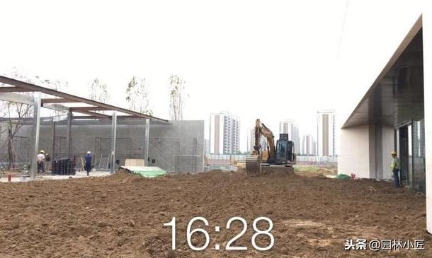 园林施工绿化篇，带你一起看一看原本的真实场景