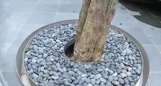 园林景观的细节之美，直击人心