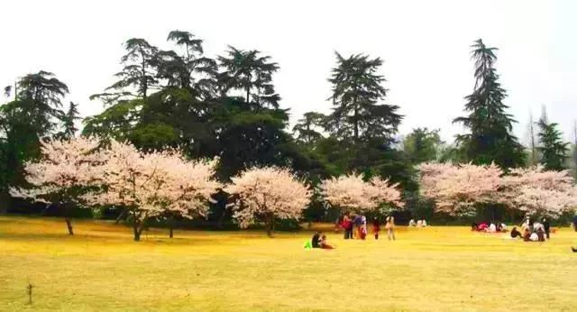 景观植物空间造景