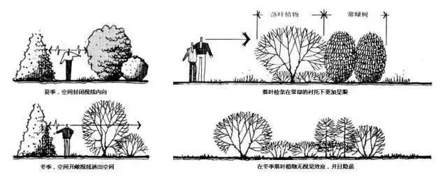 景观植物空间造景