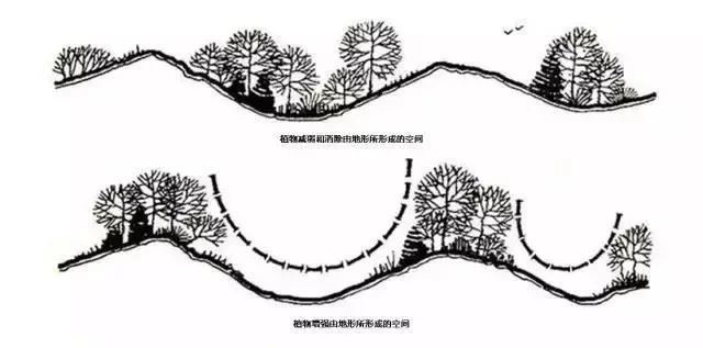 景观植物空间造景