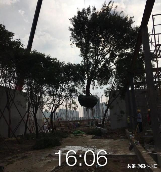 园林施工绿化篇，带你一起看一看原本的真实场景