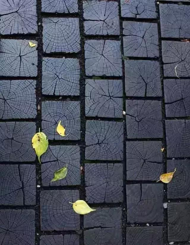 园林景观的细节之美，直击人心