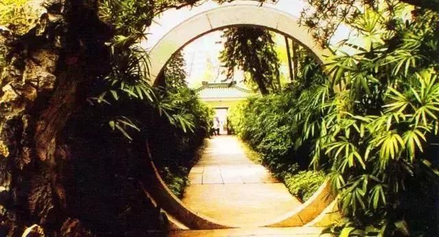 景观植物空间造景