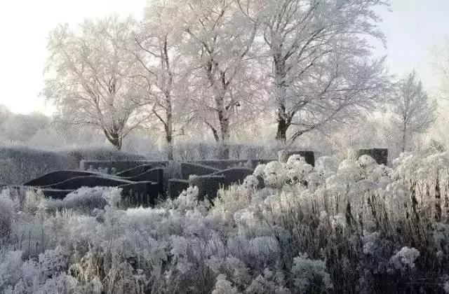 有“花境”，草有“草境”——景观设计中的观赏草