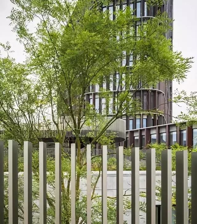 干货 | 屋顶园林景观的设计要点