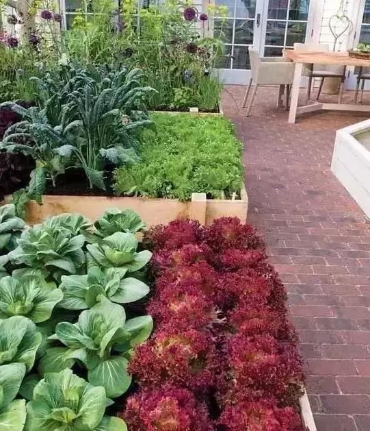 如何用植物装点你的园林景观