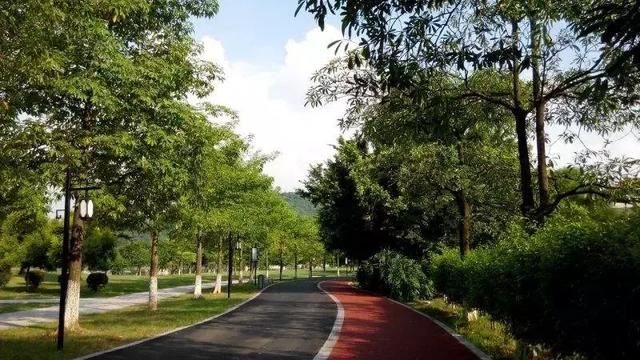 园林景观设计的小秘诀｜园林景观设计的6大风格和30种玩法