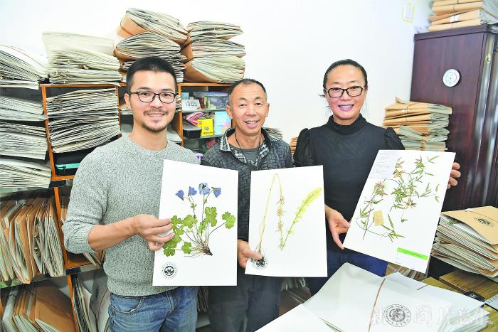 [野生动植物]新疆野生植物宝库再添新成员