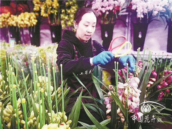 年宵旺季进入倒计时北京商户坦言不乐观
