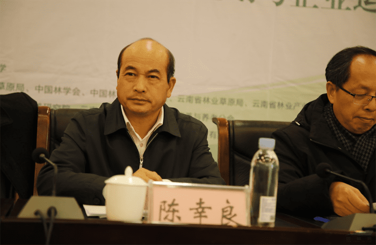 发挥优势 助推森养产业发展 西南林业大学森林康养研究院在昆成立
