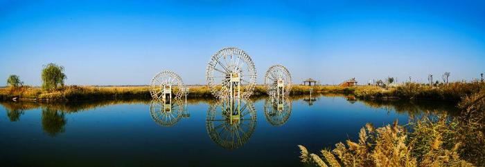 银川黄河湿地，焕发生机之魅