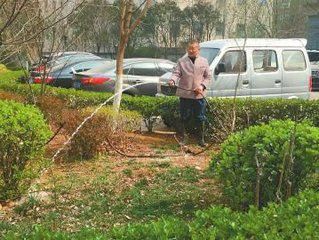 苗木为什么要浇“封冻水”？怎样浇才最合理？