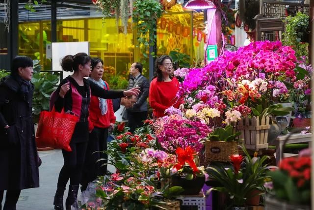 春节将至，您家的年宵花预备上了吗？