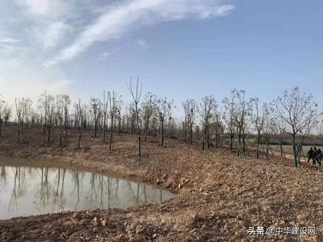 武汉将启动21个绿化项目 打好城市颜值牌