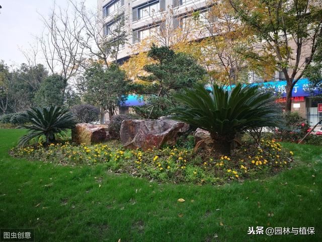 植物配置——园林景观绿化中的园林植物搭配技巧