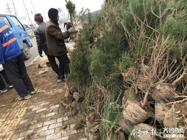 济青高铁淄博北站“气质”提升，周边36.5公顷渣土堆将被绿化
