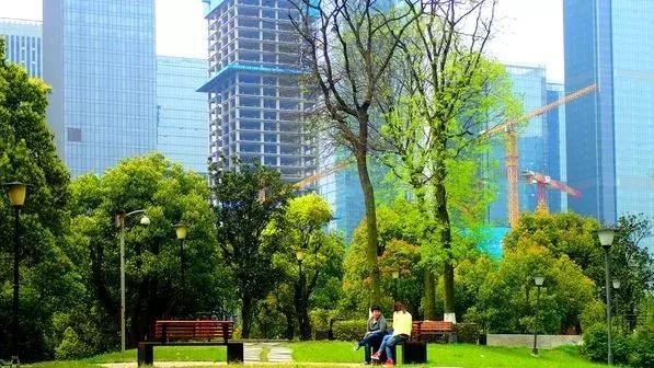 园林绿化工程的定额套用，一文搞定！