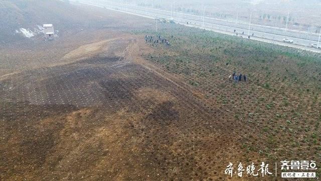 济青高铁淄博北站“气质”提升，周边36.5公顷渣土堆将被绿化