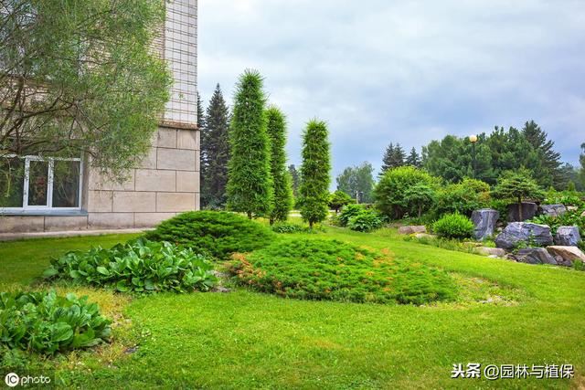 植物配置——园林景观绿化中的园林植物搭配技巧