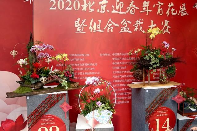 2020年迎春年宵花展在北京花乡花卉嘉年华艺术中心拉开帷幕