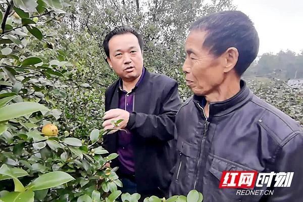 盘点2019丨湘潭市林业局：发展绿色产业 不断提升全市绿化质量