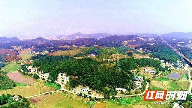 盘点2019丨湘潭市林业局：发展绿色产业 不断提升全市绿化质量
