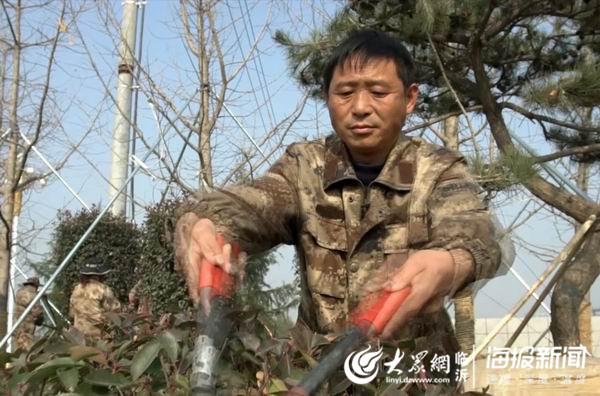兰陵县园林绿化服务中心颜世刚：争做城市绿化事业的排头兵