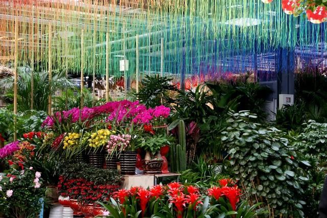 2020年迎春年宵花展在北京花乡花卉嘉年华艺术中心拉开帷幕