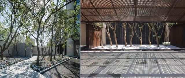 实例探析︱居住区园林景观风格及种植设计