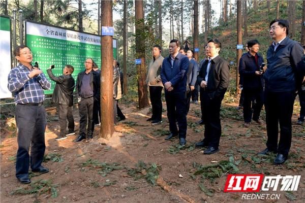 盘点2019丨湘潭市林业局：发展绿色产业 不断提升全市绿化质量