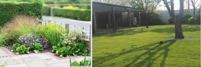 实例探析︱居住区园林景观风格及种植设计