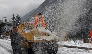 下雪后如何养护树木？