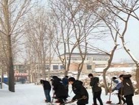 下雪后如何养护树木？