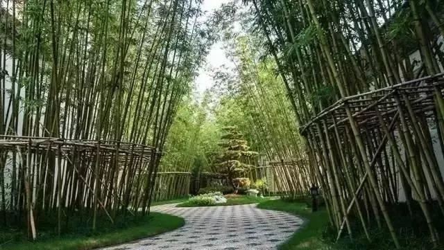 200名匠人耗时8年，打造中国最美园林