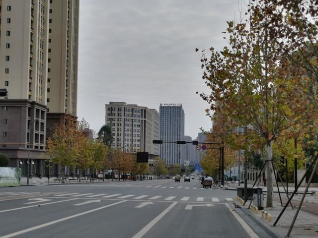 内江邦泰国际社区外面这条是鹅掌楸大道