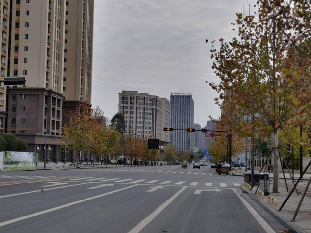 内江邦泰国际社区外面这条是鹅掌楸大道