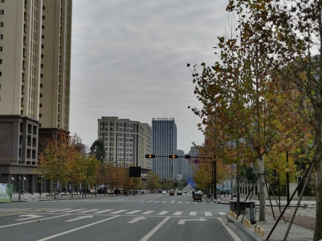 内江邦泰国际社区外面这条是鹅掌楸大道