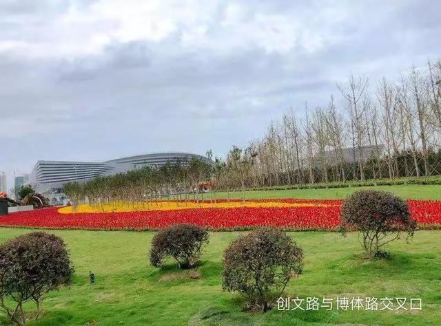 盘点2019年中原绿化 可喜可贺