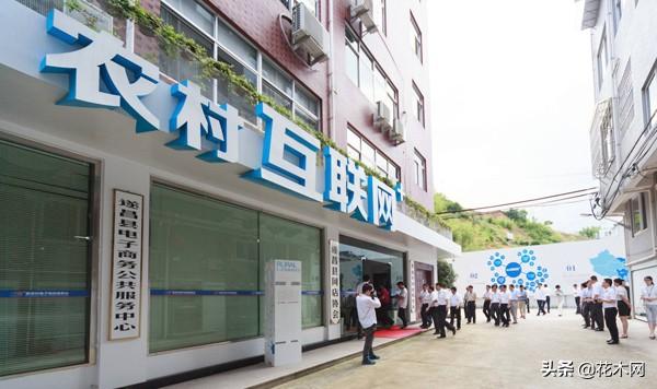 农村新增5类致富门路，春节放假在即，农民回家可以好好打算一下