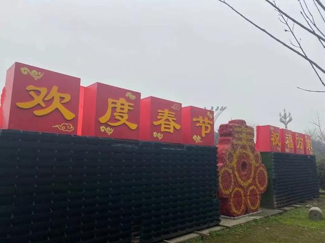 美了，美了｜ 崇州街头绿化换新颜，欢迎你回家~