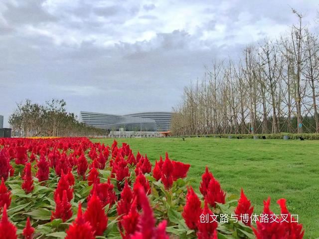 盘点2019年中原绿化 可喜可贺