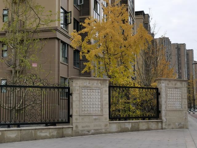内江邦泰国际社区外面这条是鹅掌楸大道