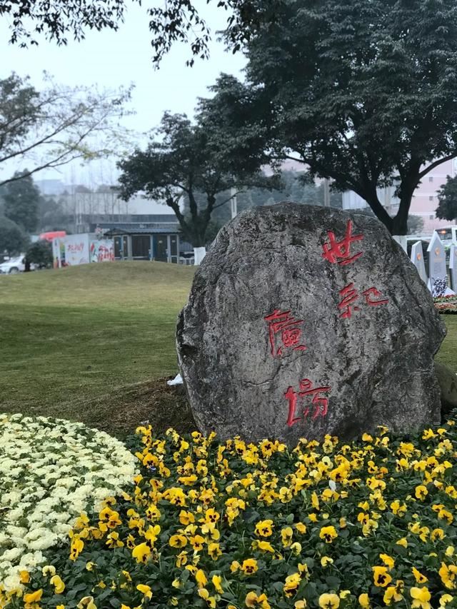 美了，美了｜ 崇州街头绿化换新颜，欢迎你回家~
