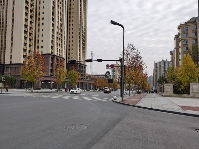 内江邦泰国际社区外面这条是鹅掌楸大道