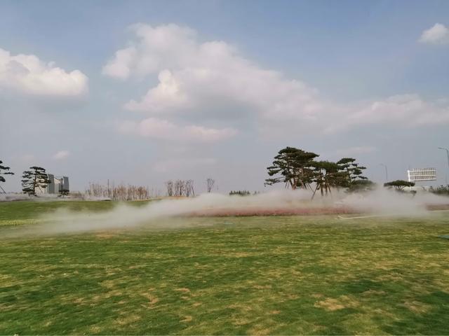 盘点2019年中原绿化 可喜可贺