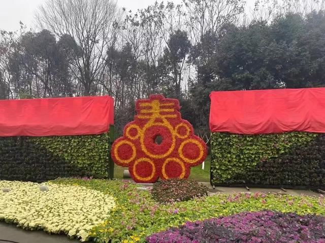美了，美了｜ 崇州街头绿化换新颜，欢迎你回家~