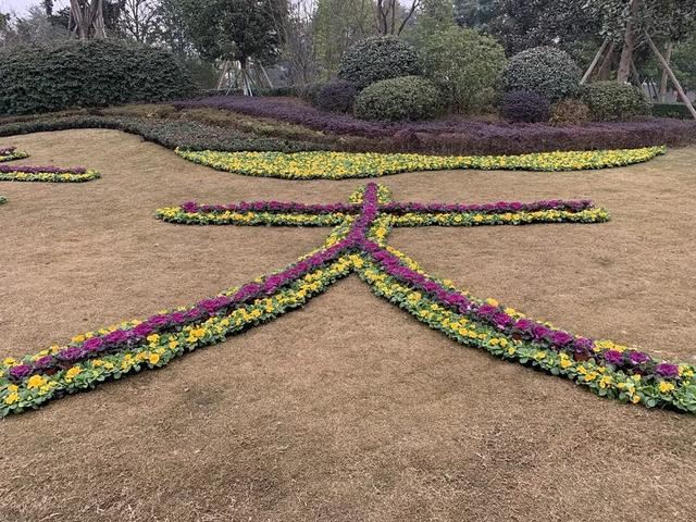 美了，美了｜ 崇州街头绿化换新颜，欢迎你回家~