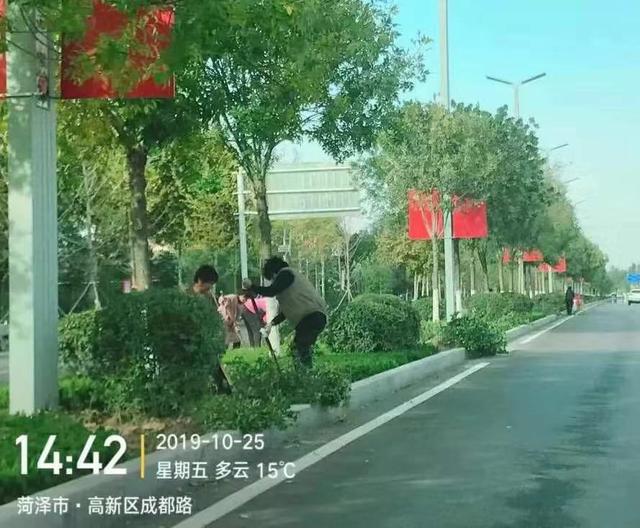 园林绿化|打造美丽城市景观