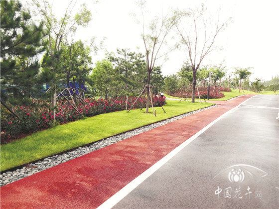 山水相依水绿交融的市政景观 记河北省石家庄市正定新区中心湖项目
